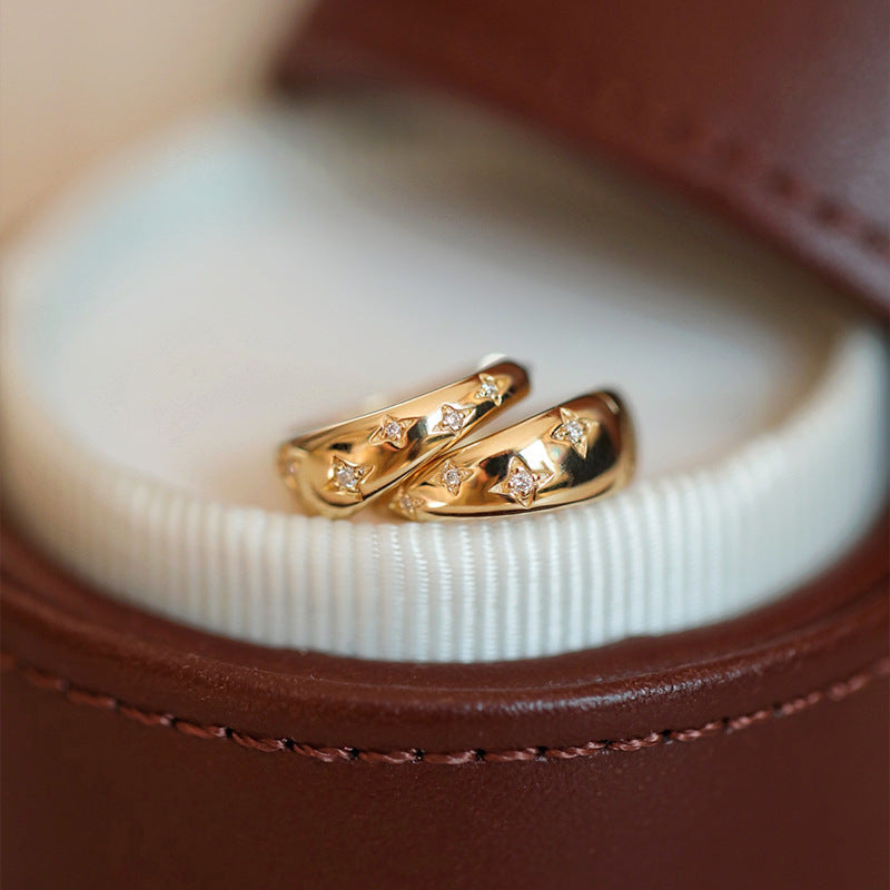Gold and Silver Earrings Timeless Elegance Limited Edition Collection