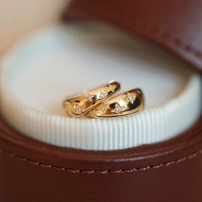 Gold and Silver Earrings Timeless Elegance Limited Edition Collection